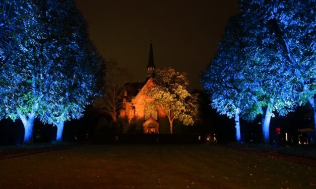 Allerheiligen: Stadt illuminiert den Nordfriedhof