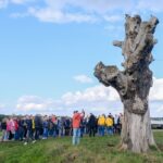 Himmelgeister Kastanie: Düsseldorferinnen und Düsseldorfer kamen zur Abschiedsveranstaltung