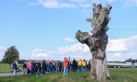 Himmelgeister Kastanie: Düsseldorferinnen und Düsseldorfer kamen zur Abschiedsveranstaltung