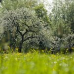 Herbstpflege im Naturschutzgebiet Urdenbacher Kämpe