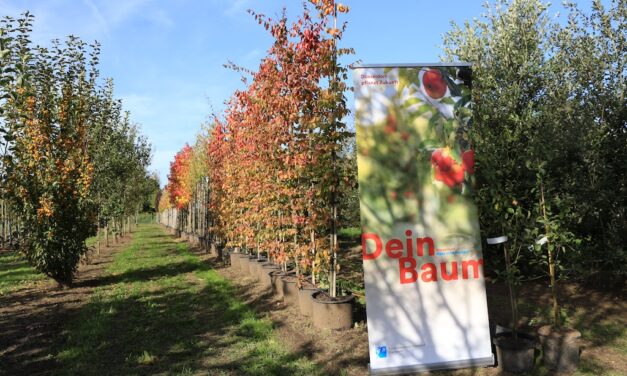 Aktion “Dein Baum” gestartet