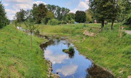 Öffentliche Gewässerschau an der Südlichen Düssel