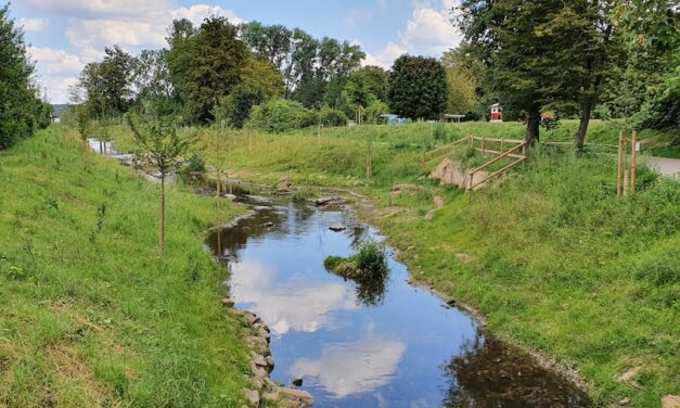 Öffentliche Gewässerschau an der Südlichen Düssel