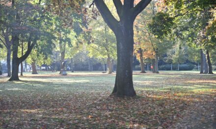 “Unterwegs im Grünen”: Führungen am ersten November-Wochenende