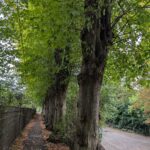 Der Büstenpark in Kaiserswerth