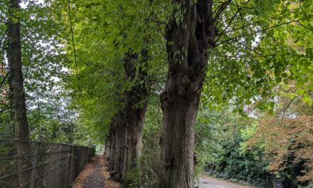 Der Büstenpark in Kaiserswerth