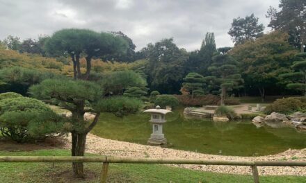 Sanierungsarbeiten im Japanischen Garten – Wasserbecken bleibt bis November geschlossen