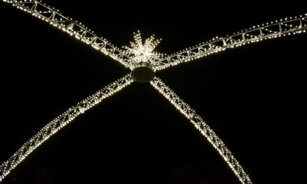 „Strahlende Adventszeit: Der Lichterdom verzaubert die Düsseldorfer Königsallee“