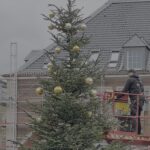 Festliche Tannenbäume zaubern vorweihnachtliche Stimmung in Düsseldorf