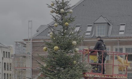 Festliche Tannenbäume zaubern vorweihnachtliche Stimmung in Düsseldorf