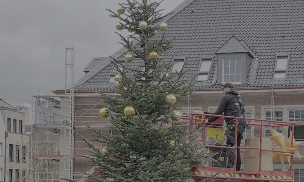 Festliche Tannenbäume zaubern vorweihnachtliche Stimmung in Düsseldorf