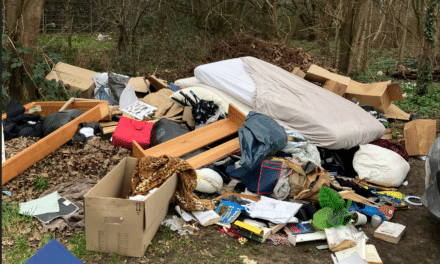 Düsseldorfs Mülldetektive klären dreisten Fall in Mörsenbroich auf