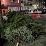 Weihnachtsbaum-Sammlung 2025 in Düsseldorf: Alle Termine und Hinweise