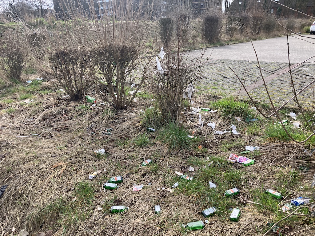 Müll am Friedhof © Lokalbüro