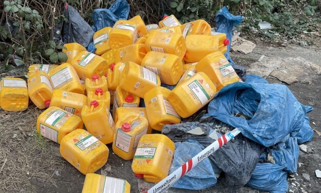 Düsseldorfer Mülldetektive wenden sich an die Öffentlichkeit: Zeugenaufruf