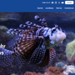 Aquazoo und SchifffahrtMuseum gehen mit neuen Websites online