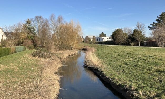 Öffentliche Gewässerschau am Kittelbach
