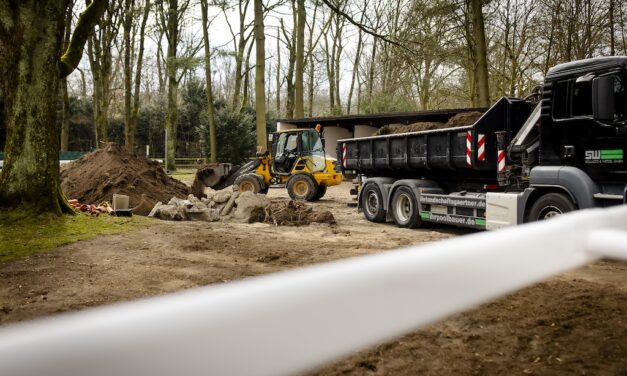 Galopprennbahn Düsseldorf startet modernisiert in die grüne Saison 2025