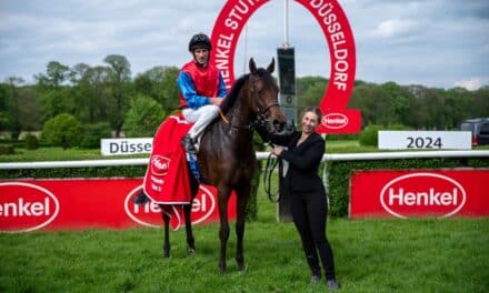 Henkel-Stutenpreis eröffnet Düsseldorfer Sport-Wochenende
