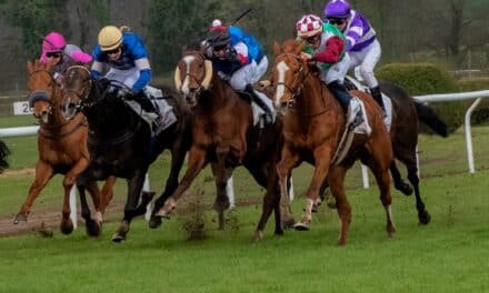 Erster Düsseldorf International Raceday: Galopprennbahn wird zum Schaufenster der Kulturen und des Spitzensports