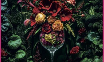 Good Karma – Die neue Oase der Lebensfreude in der Düsseldorfer Altstadt