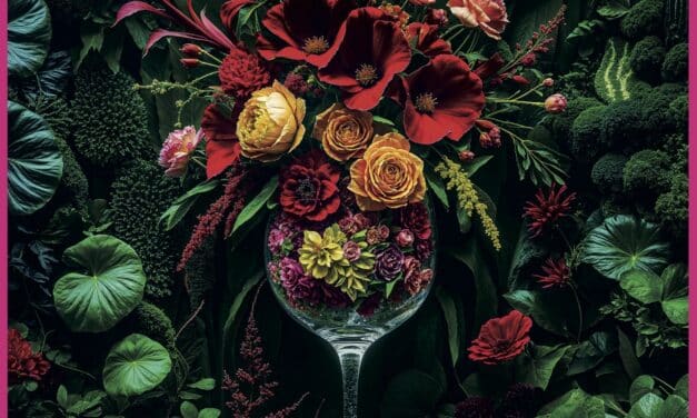 Good Karma – Die neue Oase der Lebensfreude in der Düsseldorfer Altstadt