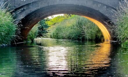 Europäischer Fotowettbewerb in Düsseldorf und Toulouse – Teilnahme noch bis 16. Mai möglich
