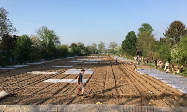 Mikroabenteuer vor der Haustür: Mietgartensaison in Düsseldorf eröffnet