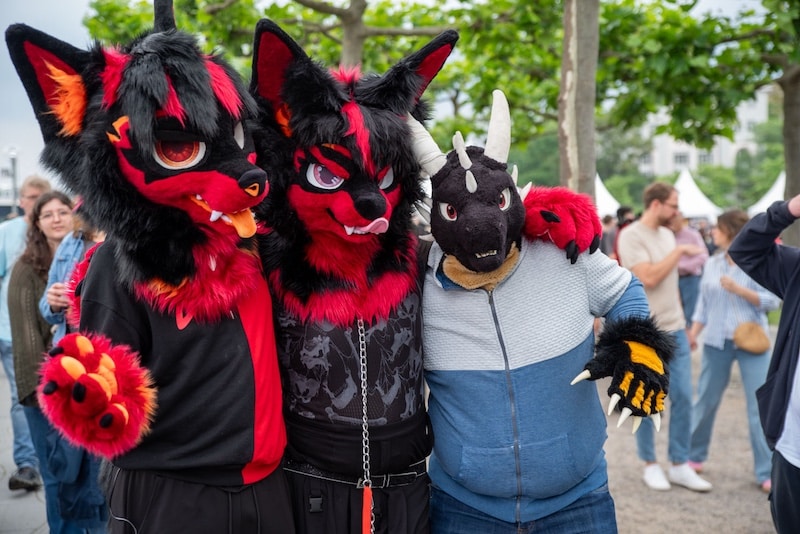 Japantag 2025 © LB / Olaf Oidtmann