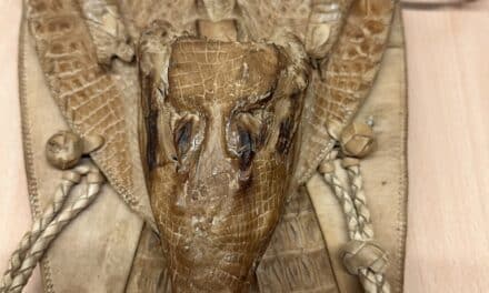 Zoll am Flughafen Düsseldorf beschlagnahmt Krokodilhandtasche – Kurioses Souvenir stammt von streng geschützter Tierart