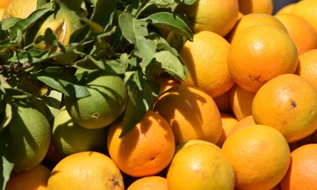 Frische Obstsalate und ‑säfte: Was beim Kauf zu beachten ist