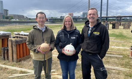 Japanisches Feuerwerk: Wenn Blätter vom Baum zu Boden schweben