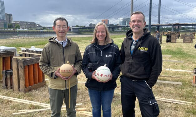 Japanisches Feuerwerk: Wenn Blätter vom Baum zu Boden schweben
