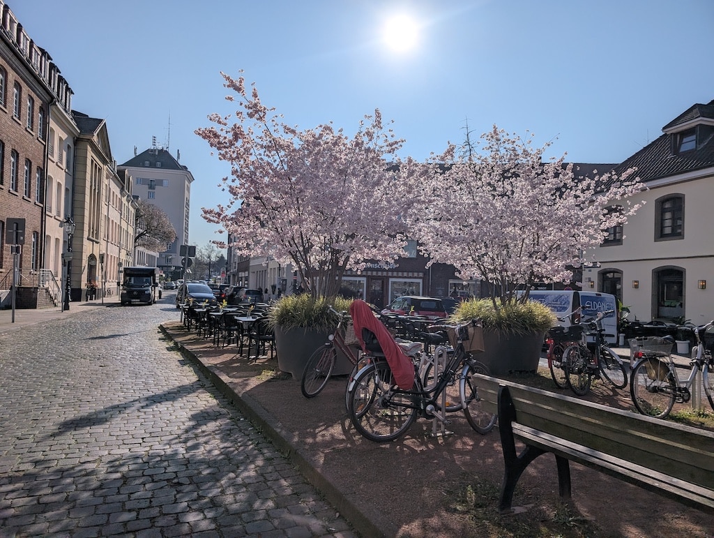 Ganz in der Nähe des Kaiserswerther Markts ist das Museum Kaiserswerth auf der Fliednerstraße.Die Kirschblüte ist nun schon Historie, doch die Gedanken sollen im Philo-Café aufblühen
© Gabriele Schreckenberg