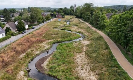 Naturnaher Ausbau der Südlichen Düssel in Vennhausen im zweiten Bauabschnitt abgeschlossen
