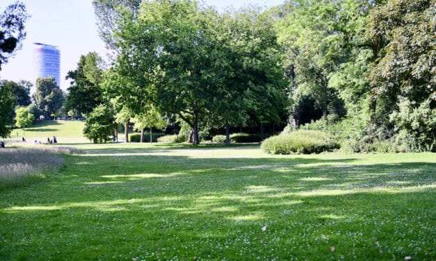 “Unterwegs im Grünen”: Im Juli bietet die Stadt Führungen an