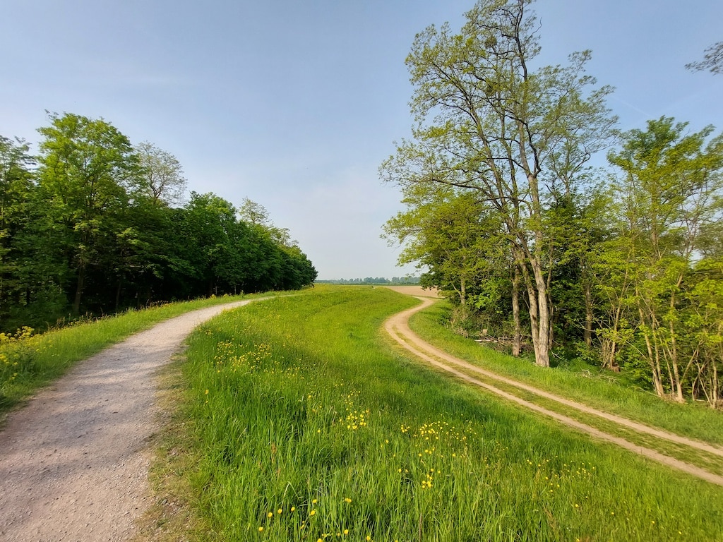 Der Sonne und dem Licht entgegen © Trauernde Eltern Düsseldorf