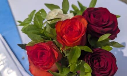 Segensfeier für Babys in Angermund