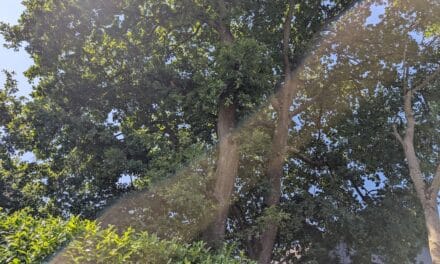 Würdiger Rahmen für ein wichtiges Thema