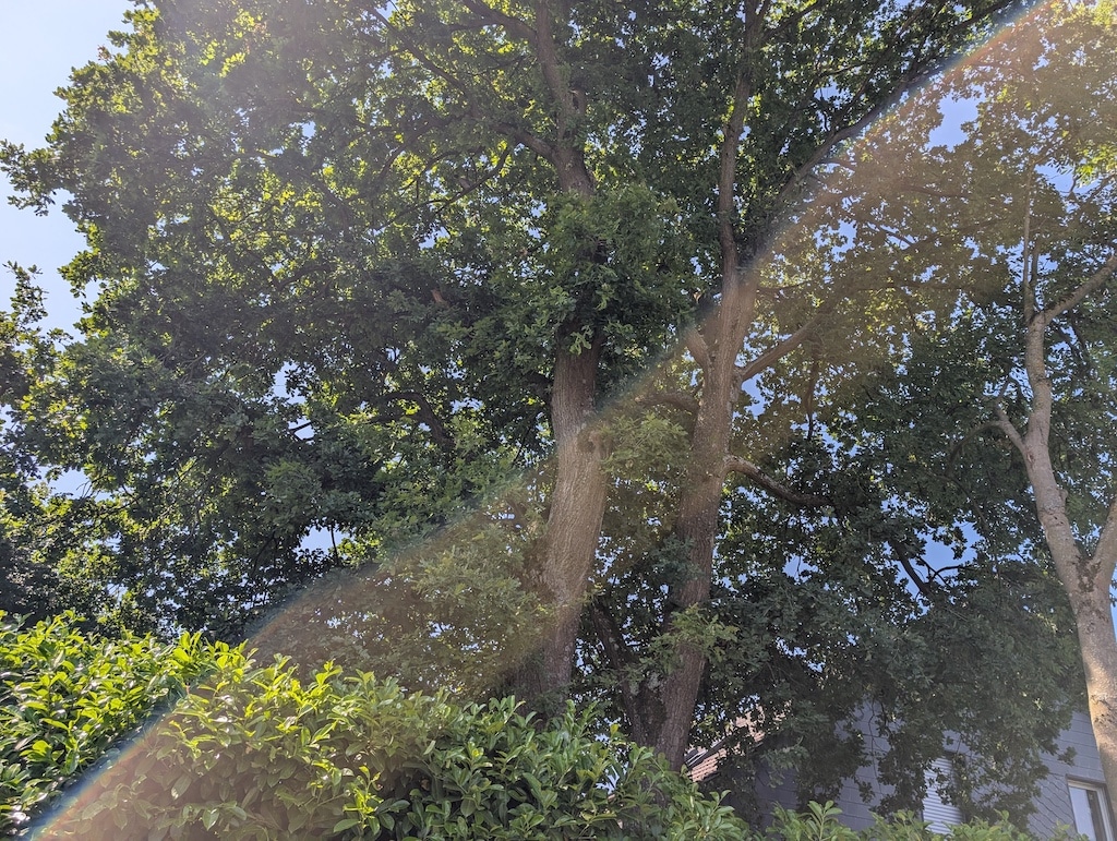 Die Natur ist ein ewiger Kreislauf. Alles fließt, wächst und wird, das wussten schon die Buddhisten. © Gabriele Schreckenberg