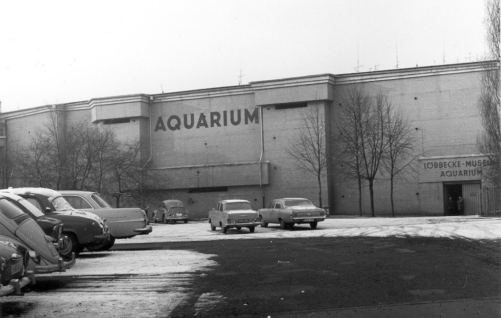 Viele Düsseldorferinnen und Düsseldorfer erinnern sich noch gut an das "Löbbecke Museum und Aquarium" im Hochbunker an der Speldorfer Straße. © Aquazoo Löbbecke Museum