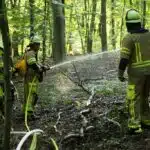 Vegetationsbrand am Unterbacher See: Feuerwehr verhindert Ausbreitung der Flammen