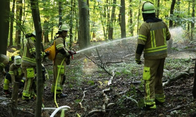 Feuerwehr Düsseldorf stellt Wald- und Flurbrandbekämpfung in den&nbsp;Fokus