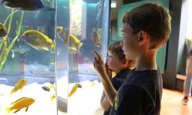 Aquazoo Kids-Club: Natur erleben, Tiere entdecken, Forschergeist wecken