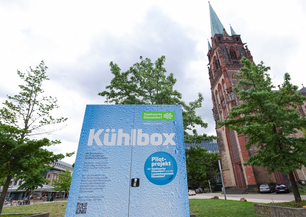 Der erste stationäre Brumisateur © Claudia Koennecke