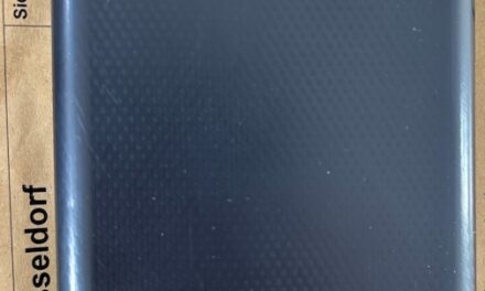 Diebstahl in Stadtmitte: Tasche aus Pkw gestohlen – Täter mit Störsender gefasst