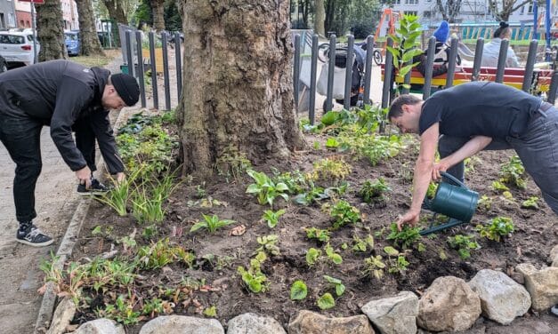 Düsseldorfer Zukunftspreis 2025: Drei Finalisten aus 76 Bewerbungen gewählt