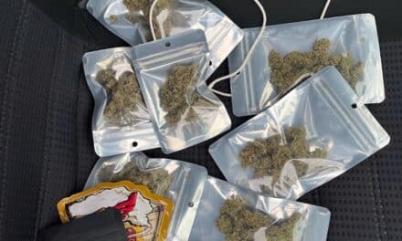 Bilk: Mann mit Joint und Handy am Steuer – Zivilstreife stoppt Autofahrer