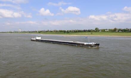 „Ab morgen: Baden im Rhein in Düsseldorf verboten – Bußgelder bis 1.000&nbsp;Euro“