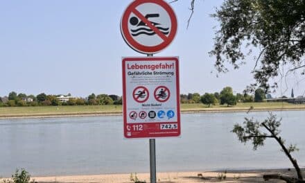 Düsseldorf verschärft Badeverbot im Rhein: Bußgelder bis 1 000 Euro und verstärkte Kontrollen